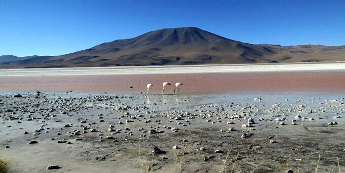 Deserto Di Atacama. Quando E Come Visitarlo?