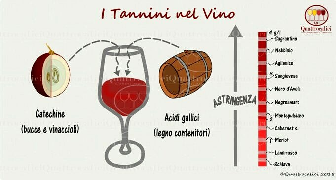 Impara Il Vino Con I 9 Principali Stili Di Vino